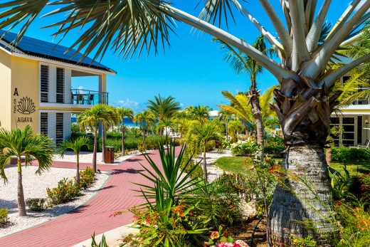 klant-laundry-expert-delfins-beach-resort