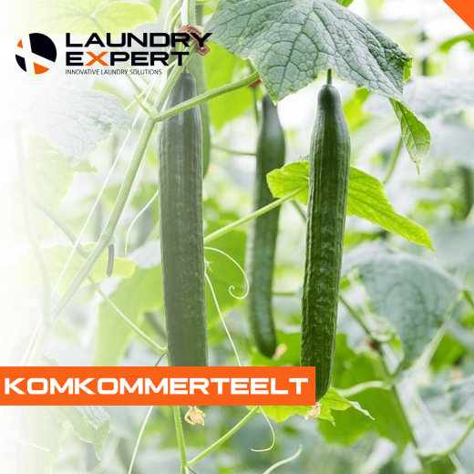 agrarisch-glastuinbouw-komkommerteelt-laundry-expert-website
