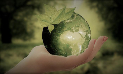 390-circulaire economie